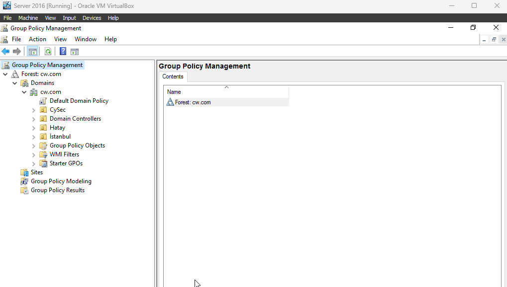 GPO (Group Policy Object) Giriş | CyberWorm